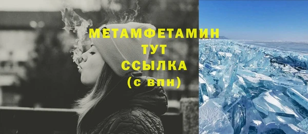 хмурый Верея