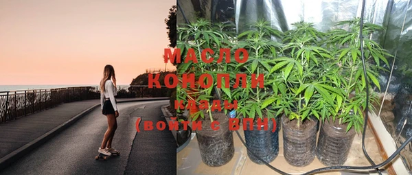 крисы Верхний Тагил