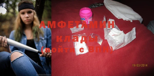 хмурый Верея
