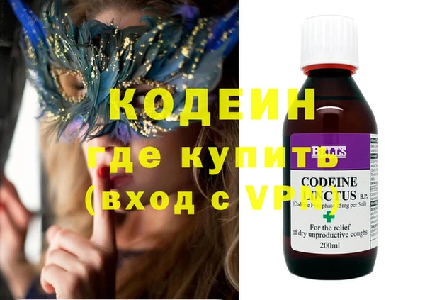 хмурый Верея