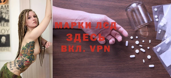 хмурый Верея