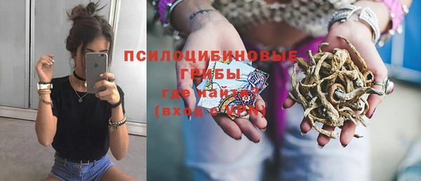 хмурый Верея